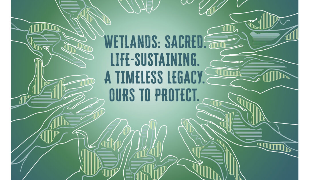 World Wetlands Day - Watershare